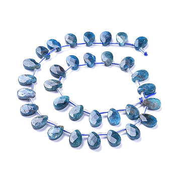 Natural Apatite Beads Strands, Top Drilled Beads, Faceted, Teardrop, 12~13x8.5x3~4mm, Hole: 0.6mm, about 32pcs/Strand, 15.55 inch(39.5cm)