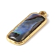 Paua Shell Pendants(SSHEL-B145-01B-G)-2