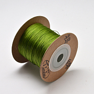 Eco-Friendly Dyed Nylon Threads, String Threads Cords, Green, 0.4mm, about 164.04 yards(150m)/roll(OCOR-L002-71-510)