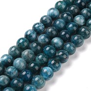 Natural Apatite Beads Strands, Round, 8mm, Hole: 1mm, about 52pcs/strand, 15.7 inch(40cm)(G-J373-21-8mm)