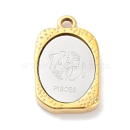 304 Stainless Steel Pendants, Rectangle with Twelve Constellations Charm, Golden & Stainless Steel Color, Pisces, 23x14.5x3mm, Hole: 2mm(STAS-F303-A12)