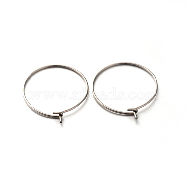 Stainless Steel Color Stainless Steel Earring Hoop