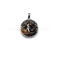 Natural Tiger Eye Pendants, Tree of Life Charms with Platinum Plated Alloy Findings, 31x27mm(FIND-PW0025-04T)