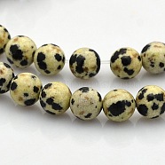 Round Natural Dalmatian Jasper Beads Strands, 6mm, Hole: 1mm, about 61pcs/strand, 15.7 inch(G-N0120-23-6mm)