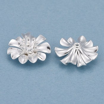 Brass Bead Caps, Multi-Petal Flower, 925 Sterling Silver Plated, 14x5mm, Hole: 0.9mm