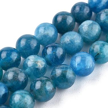 Natural Apatite Beads Strands(G-R446-6mm-11)-3