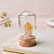 Raw Rough Natural Citrine Inside Decorative Display, with Jar Glass Dome Cover and Cork Base, 30x50mm(PW-WG57480-01)