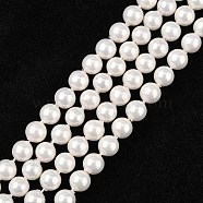 Shell Bead Strands, Imitation Pearl Bead, Grade A, Round, White, 6mm, Hole: 0.5mm, 63~64pcs/strand, 15 inch(X-BSHE-R146-6mm-02)