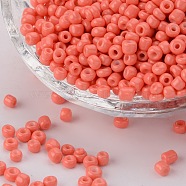 Baking Paint Glass Seed Beads, Light Coral, 6/0, 4~5x3~4mm, Hole: 1~2mm, about 4500pcs/pound(SEED-US0003-4mm-K16)