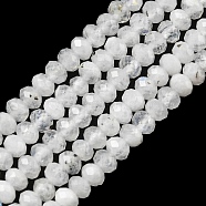 Natural Rainbow Moonstone Beads Strands, Faceted Rondelle, 3x2mm, Hole: 0.6mm, about 163pcs/strand, 15.47 inch(39.3cm)(G-G0005-D02)