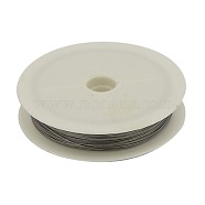 Tiger Tail Wire, Nylon-coated Stainless Steel, Slate Gray, 0.6mm, about 131.23 Feet(40m)/roll(X-TWIR-0.6D)