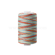 Polyester Sewing Thread, for Hand & Machine Sewing, Segment Dyed, Embroidery, Colorful, 0.4mm, 1000yard/roll.(PW-WG90757-17)