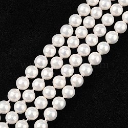 Shell Bead Strands, Imitation Pearl Bead, Grade A, Round, White, 6mm, Hole: 0.5mm, 63~64pcs/strand, 15 inch(X-BSHE-R146-6mm-02)
