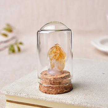 Raw Rough Natural Citrine Inside Decorative Display, with Jar Glass Dome Cover and Cork Base, 30x50mm