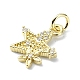 Brass Micro Pave Clear Cubic Zirconia Charms(KK-H475-59G-11)-2