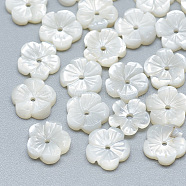 Natural White Shell Beads, Mother of Pearl Shell Beads, Flower, Seashell Color, 8x8x2mm, Hole: 0.8mm(SSHEL-S260-010)