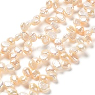 Natural Cultured Freshwater Pearl Beads Strands, Two Sides Polished, Grade 4A+, PeachPuff, 7~9x6~7x4.5~5mm, Hole: 0.7mm, about 75~77pcs/strand, 16.14 inch(41cm)(PEAR-J007-30)