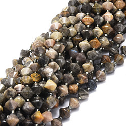 Natural Black Moonstone Beads Strands, Faceted, Bicone, 8x8mm, Hole: 1mm, about 40pcs/strand, 15.24''(38.7cm)(G-E569-C04)