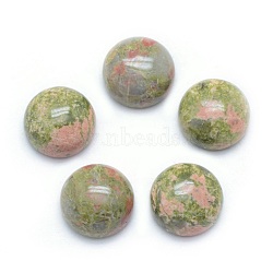 Natural Unakite Cabochons, Half Round, 10x4~5mm(X-G-P393-R31-10mm)