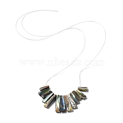 Rectangle Natural Abalone Shell/Paua ShellGraduated Beads Strands, 11~26x5.2~5.8x2~3mm, Hole: 1mm, 13pcs/strand(SSHEL-P002-05B)