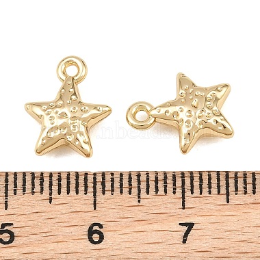 Alloy Charms(AL-CBA83D5-07G)-3