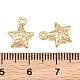 Alloy Charms(AL-CBA83D5-07G)-3
