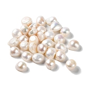Natural Cultured Freshwater Pearl Beads, Two Sides Polished, No Hole, Oval, Grade AAA, WhiteSmoke, 10~14x10~12x6~8mm(PEAR-E020-05)