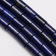 Natural Lapis Lazuli Column Bead Strands, Dyed, 10x6mm, Hole: 1mm, about 38pcs/strand, 15.5 inch(X-G-M264-14)