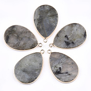 Natural Labradorite Pendants, with Brass Findings, teardrop, Golden, 39x25x3mm, Hole: 2mm(G-T112-22A)