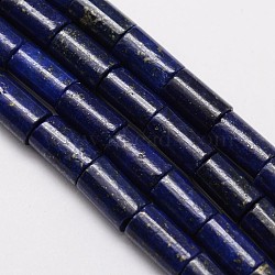 Natural Lapis Lazuli Column Bead Strands, Dyed, 10x6mm, Hole: 1mm, about 38pcs/strand, 15.5 inch(X-G-M264-14)