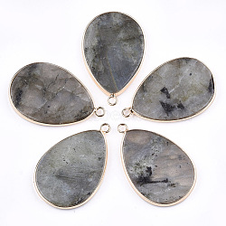 Natural Labradorite Pendants, with Brass Findings, teardrop, Golden, 39x25x3mm, Hole: 2mm(G-T112-22A)