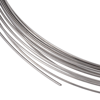 316 Surgical Stainless Steel Wire, Sauqre, for Jewelry Making, Stainless Steel Color, 0.8mm, about 32.81 Feet(10m)/Roll