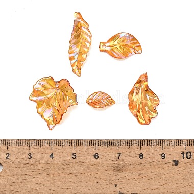 Transparent Acrylic Pendants(AC-CBAE38D-02C)-3