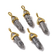 Natural Map Stone Pendants, Faceted, with Golden Tone Brass Findings, Lead free & Cadmium Free, Bullet, 27~30x9~10x7~8mm, Hole: 4x3mm(G-K329-64G)