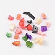 Natural Shell Beads, Dyed, Mixed Color, about 9-19mm long, 7-15mm wide, 2.5-7mm thick, about 500pcs/500g(PTS069Y)