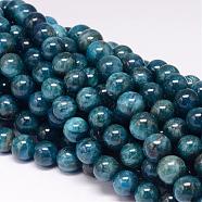 Natural Apatite Beads Strands, Round, 10mm, Hole: 1mm, about 40pcs/strand, 15.7 inch(G-P132-04-10mm)
