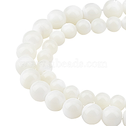 CHGCRAFT 2 Strands 2 Style Natural Spiral Shell Beads Strands, Round, Creamy White, 1 strand/style(SSHEL-CA0001-02)