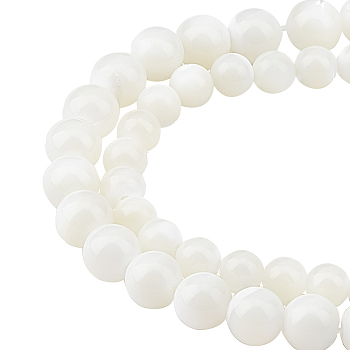 CHGCRAFT 2 Strands 2 Style Natural Spiral Shell Beads Strands, Round, Creamy White, 1 strand/style