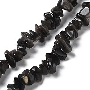 Natural Silver Sheen Obsidian Chip Beads Strands, 1~8x5~17x5~8mm, Hole: 0.9~1mm, 30.31~31.50''(77~80cm)(G-M205-07A)