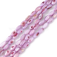 Natural Freshwater Shell Dyed Beads Strands, Horse Eye, Lilac, 9.5x5mm, Hole: 0.8mm, about 41pcs/strand, 14.96''(38cm)(SHEL-M018-13-10)