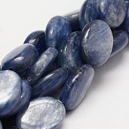 Oval Natural Kyanite/Cyanite/Disthene Bead Strands, 14x10x4mm, Hole: 1mm, about 29pcs/strand, 15.7 inch(G-O139-01D)