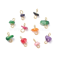 Natural Chip Dyed Shell Connector Charms, with Brass Loops, Nuggets, Mixed Colors, Light Gold, 10.5~11.5x5.5~10.5x5.5~7mm, Hole: 2.5~3.5mm(PALLOY-JF01337-02)