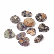 Natural Rhyolite Jasper Pendants, Flat Round & Oval & Heart & Rectangle, 24~30.5x15.5~30.5x3~4mm, Hole: 1.6~2mm(G-B030-28)