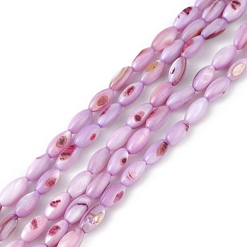 Natural Freshwater Shell Dyed Beads Strands, Horse Eye, Lilac, 9.5x5mm, Hole: 0.8mm, about 41pcs/strand, 14.96''(38cm)