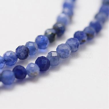 Natural Grade A Sodalite Beads Strands(G-G663-21-2mm)-3