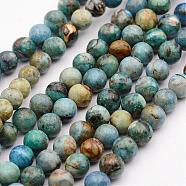 Natural Variscite Bead Strands, Round, 6mm, Hole: 1mm, about 62pcs/strand, 15 inch(G-P300-01-6mm)