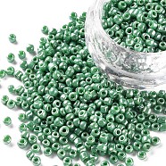 8/0 Glass Seed Beads, Opaque Colors Lustered, Round, Round Hole, Medium Sea Green, 8/0, 3mm, Hole: 1mm, about 1111pcs/50g, 50g/bag, 18bags/2pounds(SEED-US0003-3mm-127)