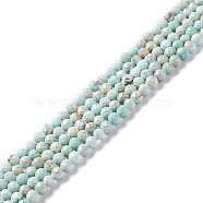Natural Imperial Jasper Beads Strands, Dyed, Faceted, Round, Pale Turquoise, 3~3.5mm, Hole: 0.7~0.8mm, about 126~137pcs/strand, 15.24~15.39 inch(38.7~39.1cm)(G-L578-A04)