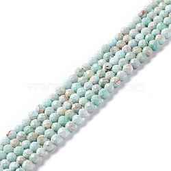 Natural Imperial Jasper Beads Strands, Dyed, Faceted, Round, Pale Turquoise, 3~3.5mm, Hole: 0.7~0.8mm, about 126~137pcs/strand, 15.24~15.39 inch(38.7~39.1cm)(G-L578-A04)