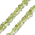 Natural Peridot Beads Strands, Grade A, Chip, 1~5x3~16x3~5mm, Hole: 0.8~0.9mm, 29.92~32.68''(76~83cm)(X-G-E607-A06)